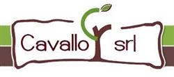 Cavallo