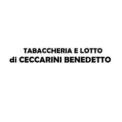 Tabaccheria e Lotto