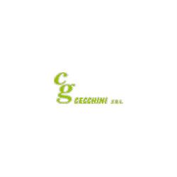 Cg Cecchini