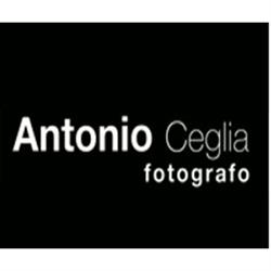 Antonio Ceglia  Fotografo