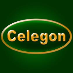Celegon Onoranze Funebri