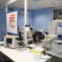 Centro Analisi Cliniche Dr. De Giorgi-D.ssa Giglio S.a.s.