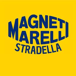 Centro Di Revisione Magneti Marelli Di Castelletto