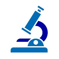 Centro Diagnostico Analisi Dei Dott.l.cerciello & G.basile Giannini Snc)