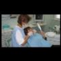 Dentisti Medici Chirurghi ed Odontoiatri