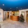 Gallery Professionale