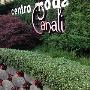 Centro Moda Giuliana Canali