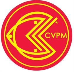 Centro Velico Punta Marina