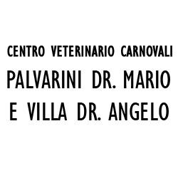 Centro Veterinario Carnovali