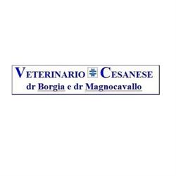 Centro Veterinario Cesanese