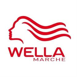 Centro Wella