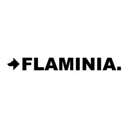 Ceramica Flaminia SPA