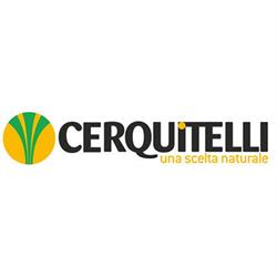 Cerquitelli 1980