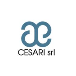 Cesari S.r.l.