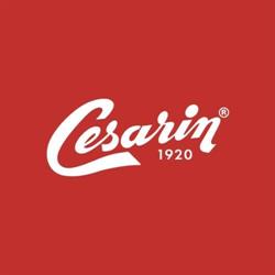 Cesarin S.p.a.