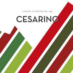 Fiorista Cesarino Sas