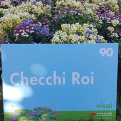 Checchi Roi