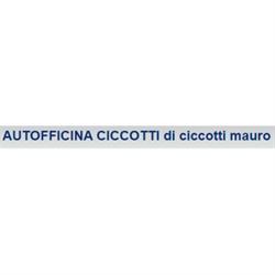 Autofficina Ciccotti Castrol Service