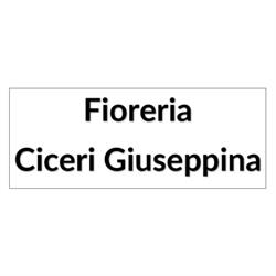 Fioreria Ciceri Giuseppina