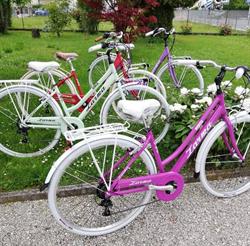 Cicli Zarma Di Arcangeli Renzo & C. (s.n.c.)