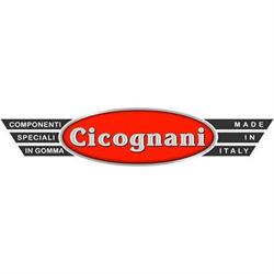 Cicognani SRL