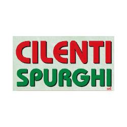 Cilenti Spurghi