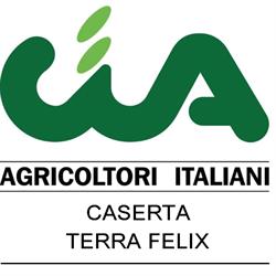 CIPA.AT - CIA