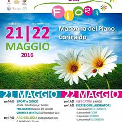 Circolo Acli Madonna Del Piano