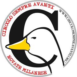 Circolo Sempre Avanti SRL