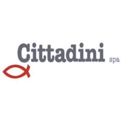 Cittadini, Reti, Cucirini e Filati Tecnici