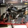 Gallery Professionale