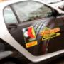 Gallery Professionale