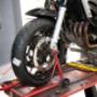 Gallery Professionale