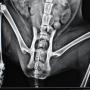 radiologia digitale per una migliore qualità