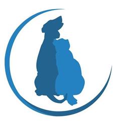 Clinica Veterinaria Città di Monza - Ospedale, TAC, Pronto Soccorso 24h