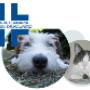 Pronto Soccorso per Animali