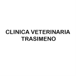Clinica Veterinaria Trasimeno