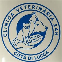 Clinica veterinaria Città di Lucca