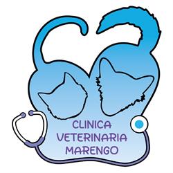 CLINICA VETERINARIA MARENGO