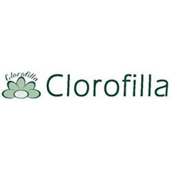 Clorofilla - Danilo Botta