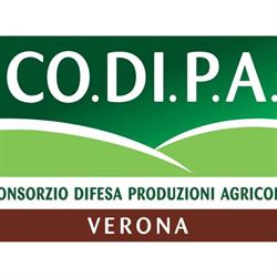 Co.di.pa.