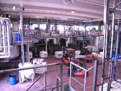 Co.m.ind. SRL