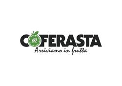 Coferasta S.p.a.