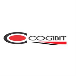 Cogibit SRL