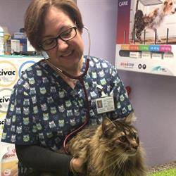 Colananni Dr.maria Pia Veterinario