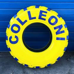 Colleoni Gomme & C. S.n.c.
