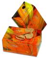 Scatola Calze SANI SOCKS Donna monouso (144 pezzi)
