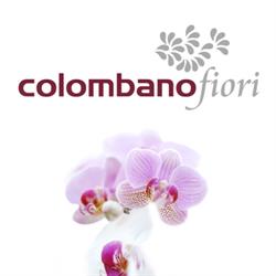 Colombano Fiori