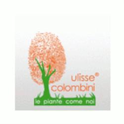 Società Agricola Colombini Ulisse