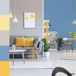 Colora SRL